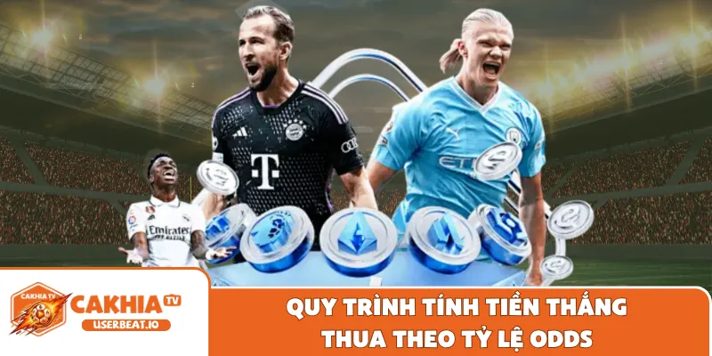 Cách Đọc Kèo Châu Á Chuẩn Xác Cho Từng Trận Đấu 3 Quy trình tính tiền thắng thua theo tỷ lệ Odds